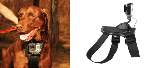 GoPro heeft speciaal voor honden een accessoire ontwikkelt waardoor alle routes van jouw hond kunnen worden bekeken. De beelden worden op de geheugenkaart (in dit geval micro SD kaart) opgeslagen.