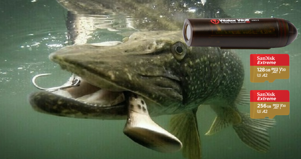 Met de onderwatercamera WaterWolf 2.0 en geheugenkaart vang jij meer vissen. Gebruik bijvoorbeeld de SanDisk Extreme micro SD kaart om de beelden op te slaan.